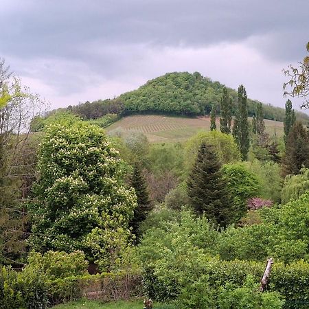 Studio Dans Belle Maison Ancienne Et Jardin Ferme L'Etoile  Buitenkant foto