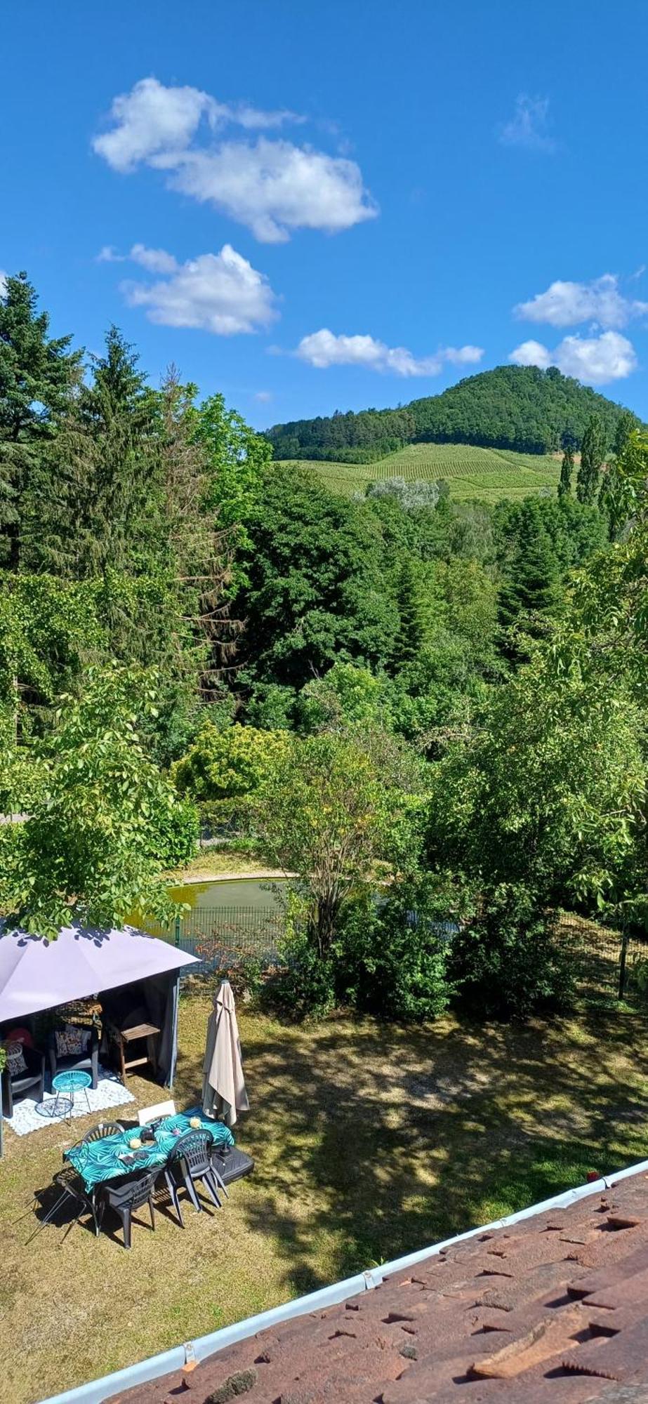 Studio Dans Belle Maison Ancienne Et Jardin Ferme L'Etoile  Buitenkant foto